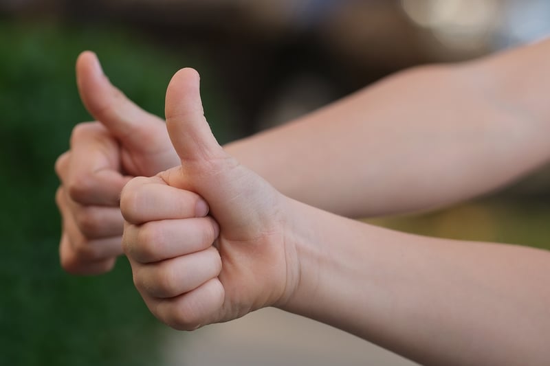 Meaningful Gestures